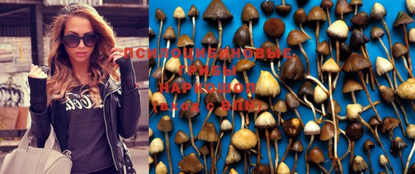 марихуана Арсеньев