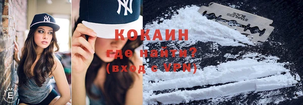 бошки Аркадак